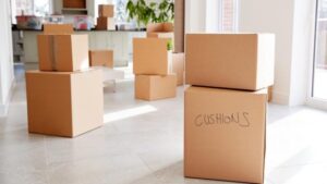 Packers and Movers Tarnaka