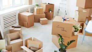 Packers and Movers Sainikpuri