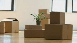 Packers and Movers Madhapur