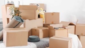 Packers and Movers Chandanagar