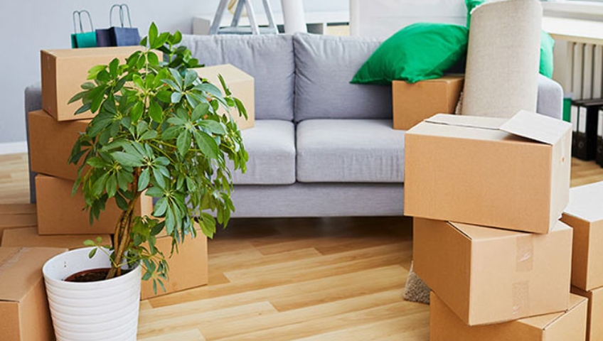 Home Shifting